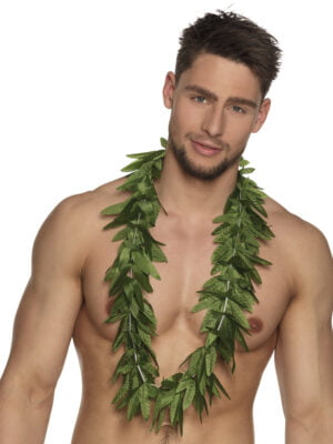 Wietslinger, Hawaii-0