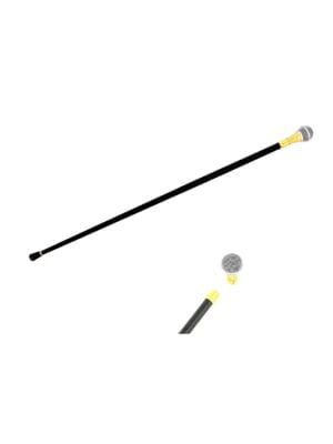 Wandelstok, Microfoon-0