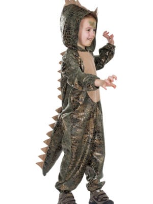 Dino kind