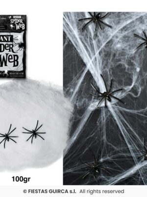 Web met spinnen (klein)
